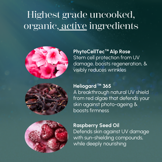 Cellular Sun Defence Face & Body Sunscreen 30SPF