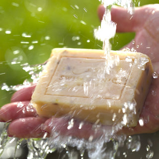 Moisturizing soap organic body cleanser